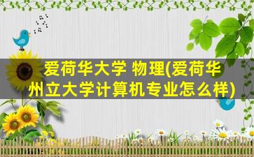 爱荷华大学 物理(爱荷华州立大学计算机专业怎么样)